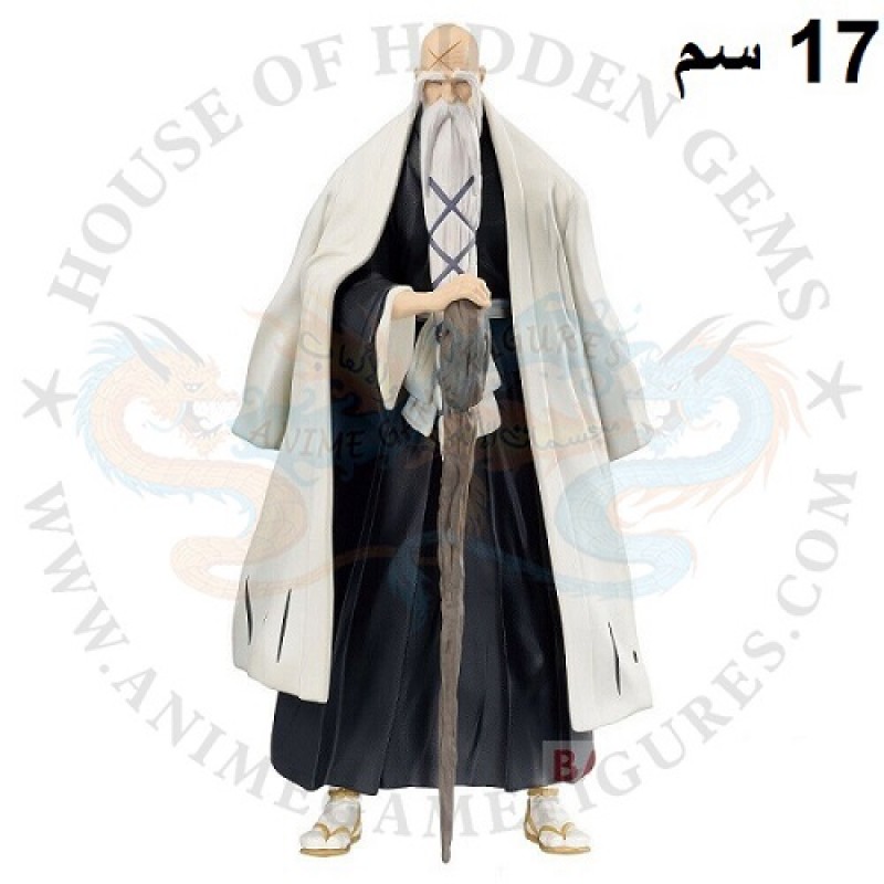 جينريوساي شيقيكوني ياماموتو سولد اند سولز بليتش