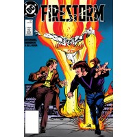 1989 فايرستورم 84