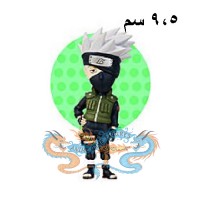 كاكاشي هاتاكي 