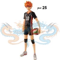 هيناتا شويو ماستر ستارز بيس هايكيو