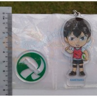 تعليقة وستاند اكريليك كاقي ياما هايكيو