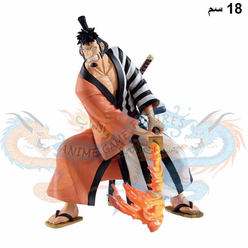 كينيمون باتل ريكورد كوليكشن ون بيس